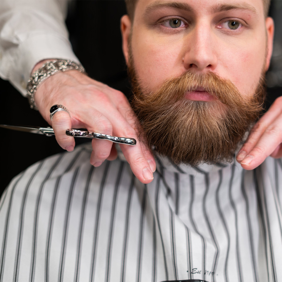2 set Stainless Steel Beard Tr - Men'S Grooming Eyebrow Trimming avis et prix